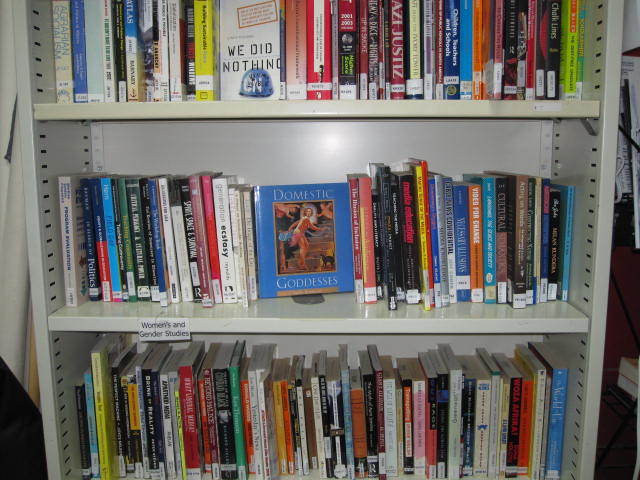 Colour photo of bookshelf. 